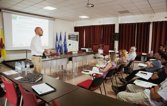 Acelerar 2030 chega a Constância para impulsionar a digitalização do comércio, restauração e serviços